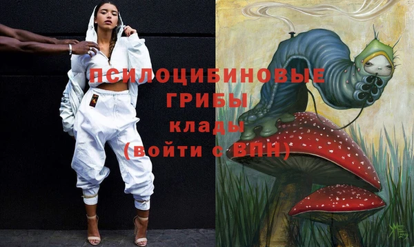 ешки Балахна