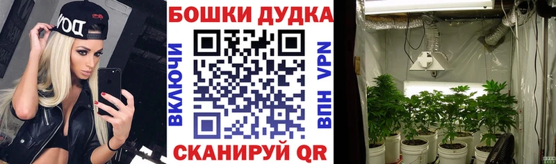 где продают наркотики  Спас-Клепики  Каннабис план 